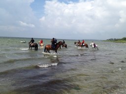 IMG_1355_web